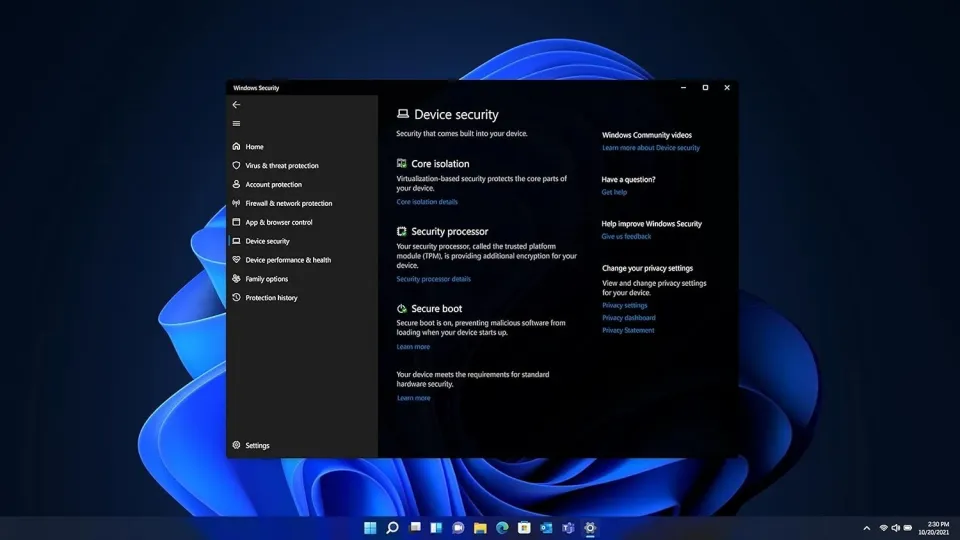 Windows Security device security interface